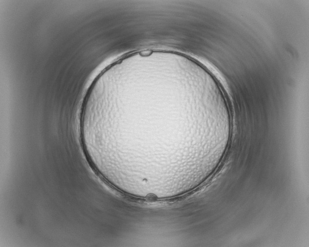 X0000115691341200912101146