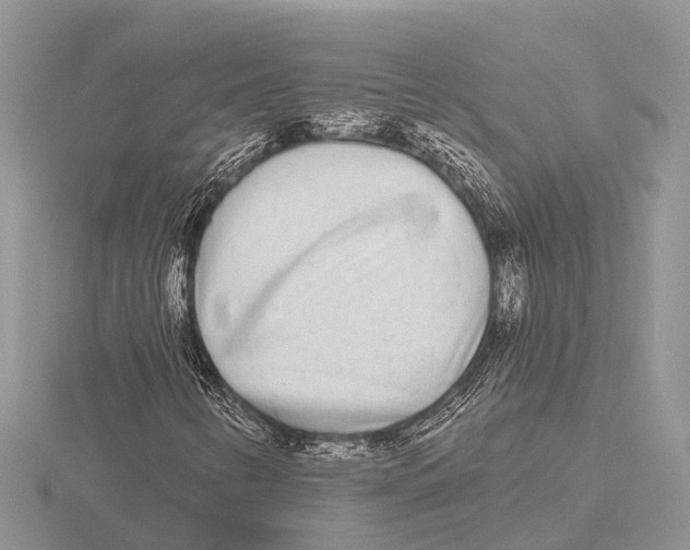 X0000115691346200912101145