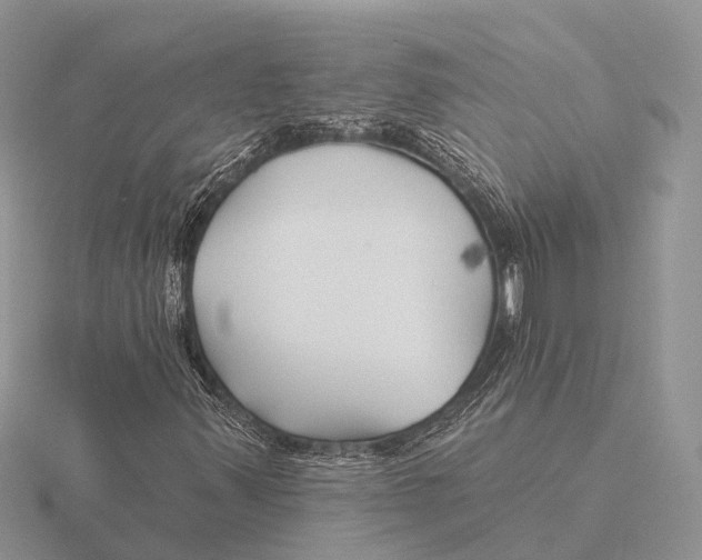 X0000115691347200912101145