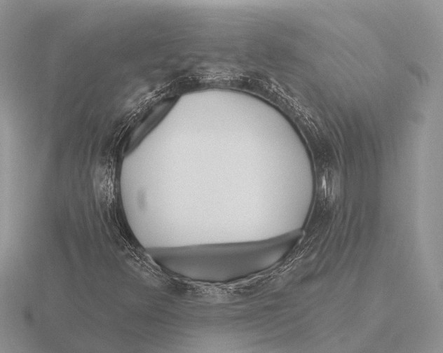 X0000115691348200912101145