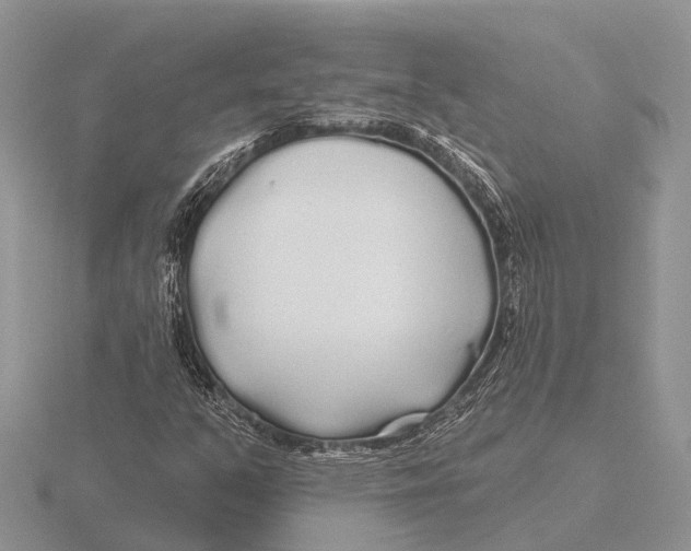 X0000115691351200912101145