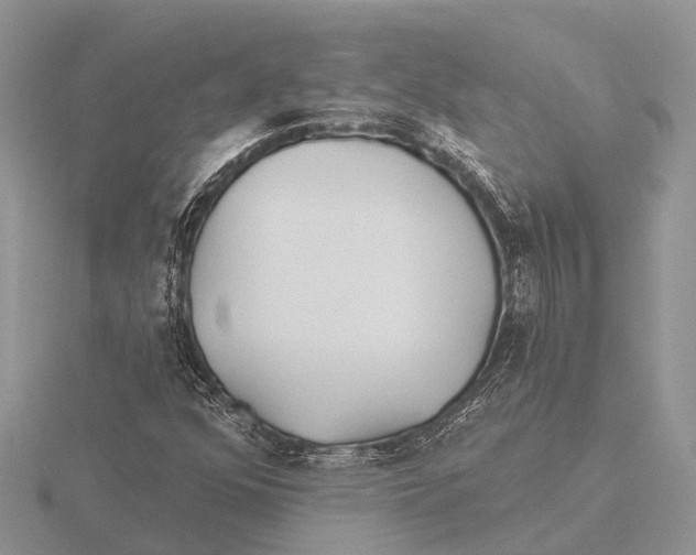 X0000115691352200912101145