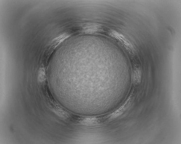 X0000115691353200912101145