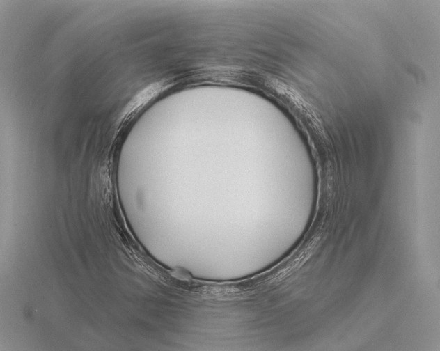 X0000115691354200912101145