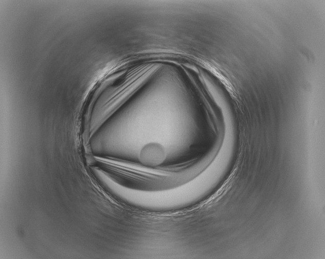X0000115691357200912101145