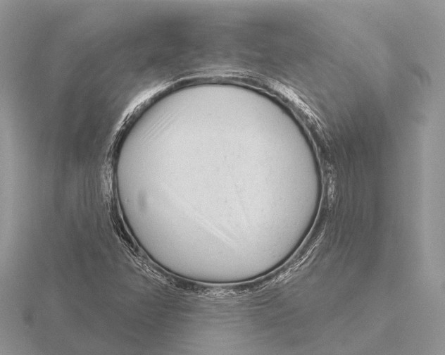 X0000115691358200912101145