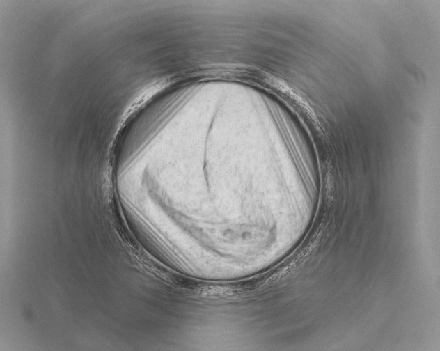 X0000115691362200912101145