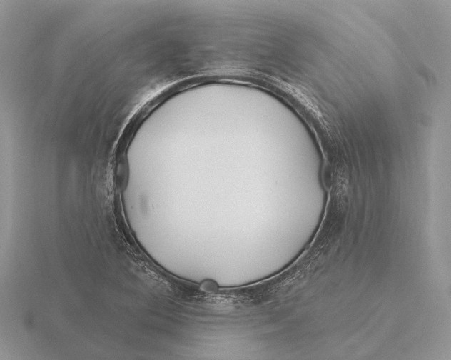 X0000115691364200912101145