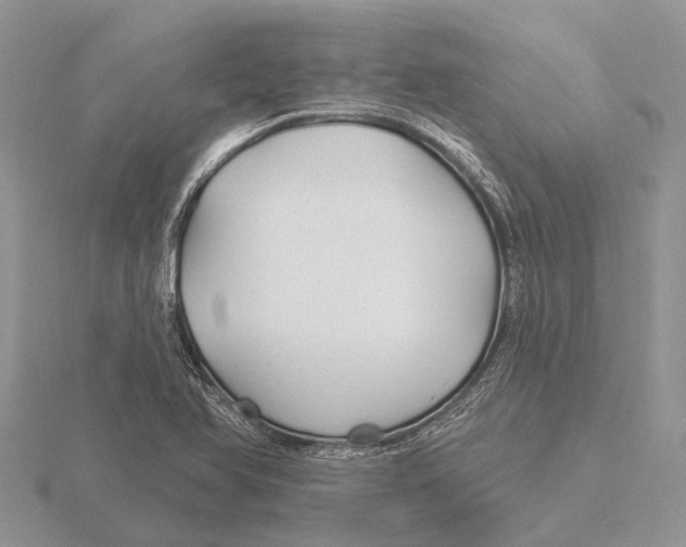 X0000115691366200912101145