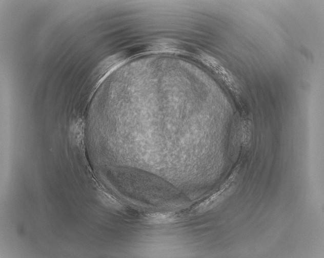 X0000115691369200912101145