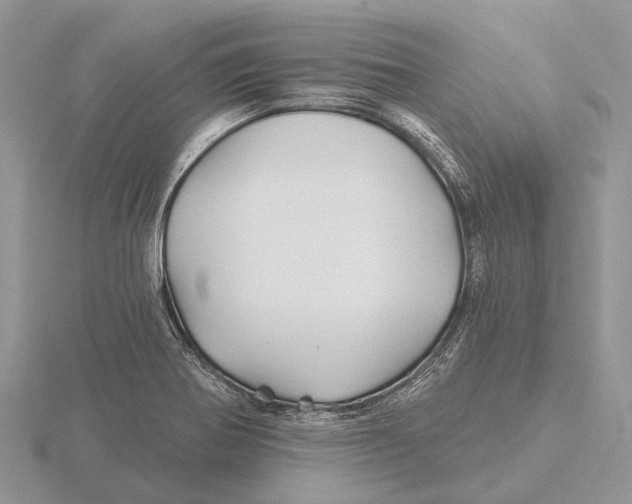 X0000115691370200912101145