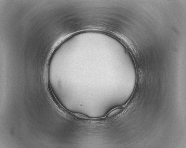 X0000115691371200912101145