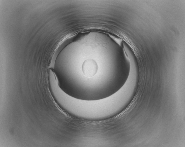 X0000115691377200912101145
