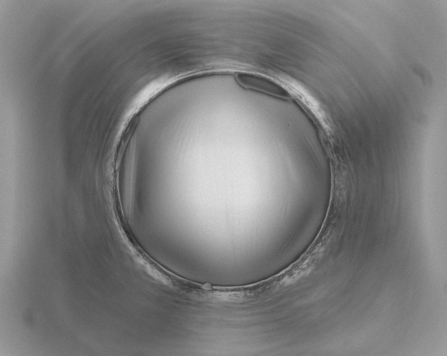 X0000115691381200912101145