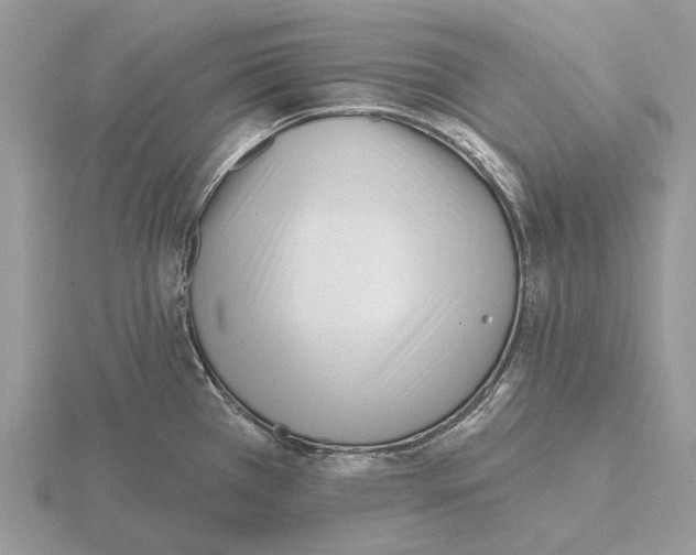 X0000115691385200912101145