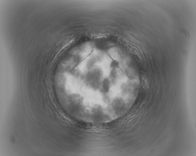 X0000115691393200912101144
