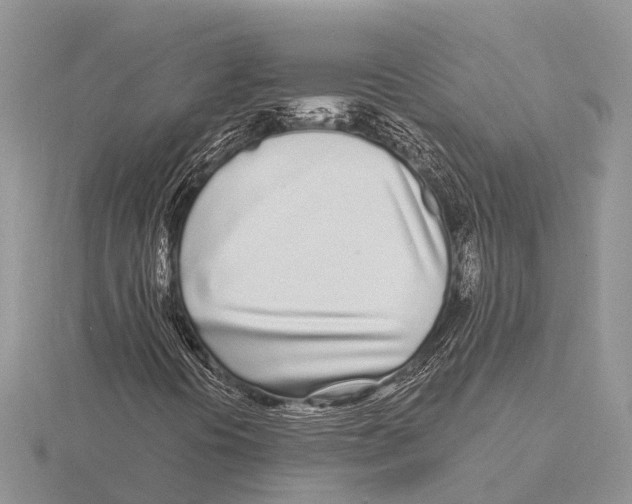 X0000115691394200912101144