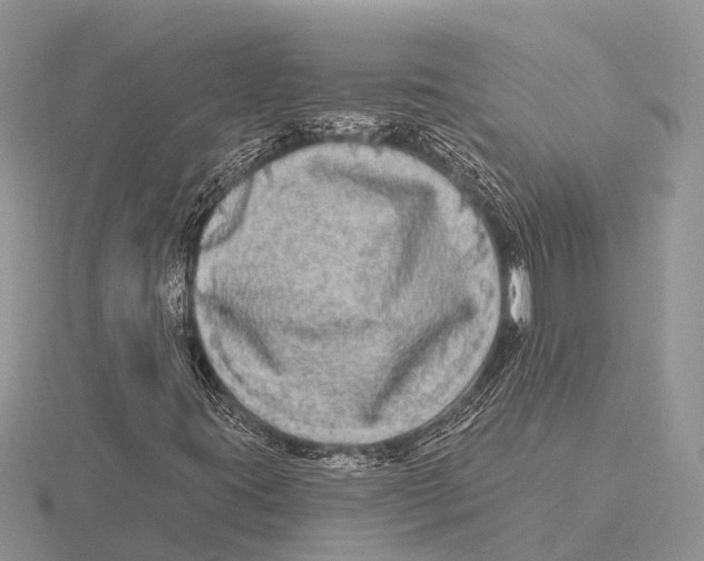 X0000115691395200912101144