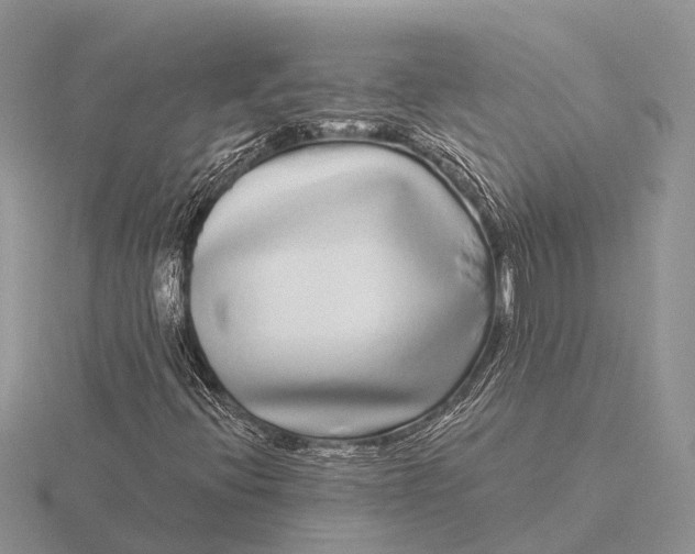 X0000115691396200912101144