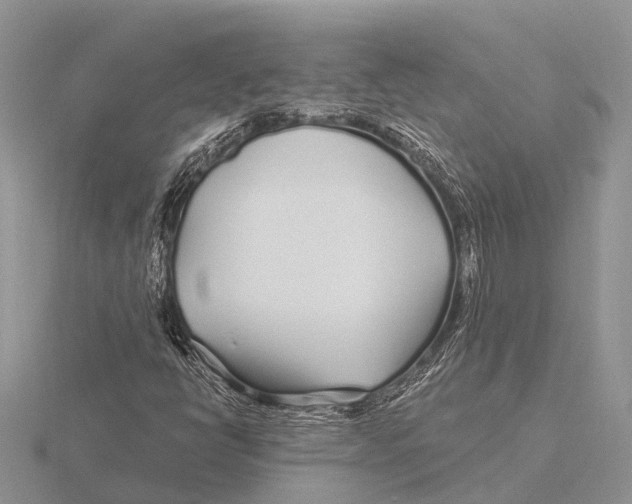 X0000115691398200912101144