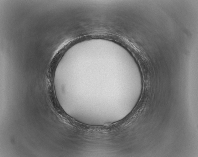 X0000115691400200912101144