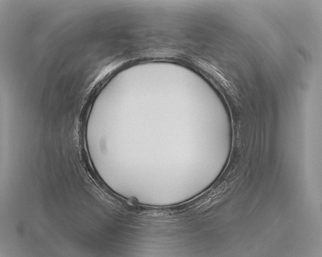 X0000115691404200912101144
