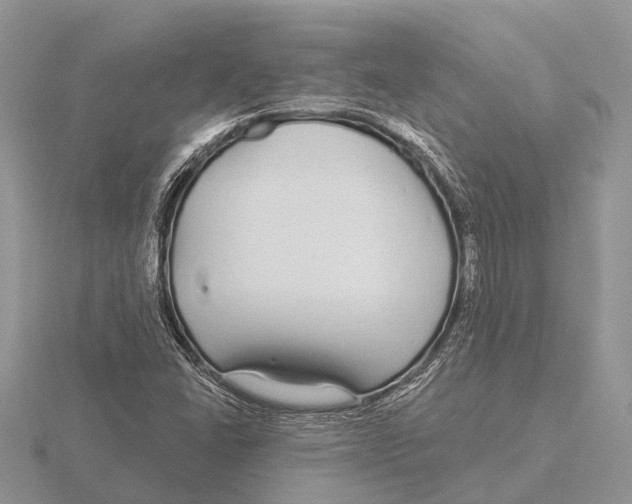 X0000115691406200912101144