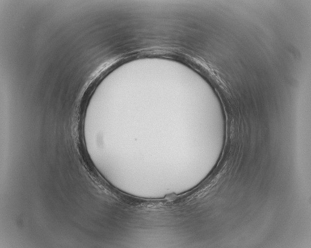 X0000115691410200912101144