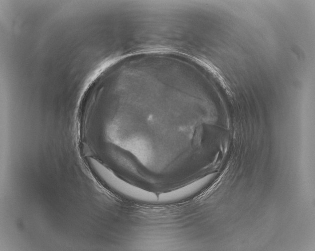X0000115691414200912101144