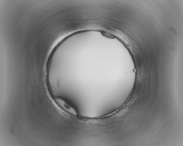 X0000115691430200912101145