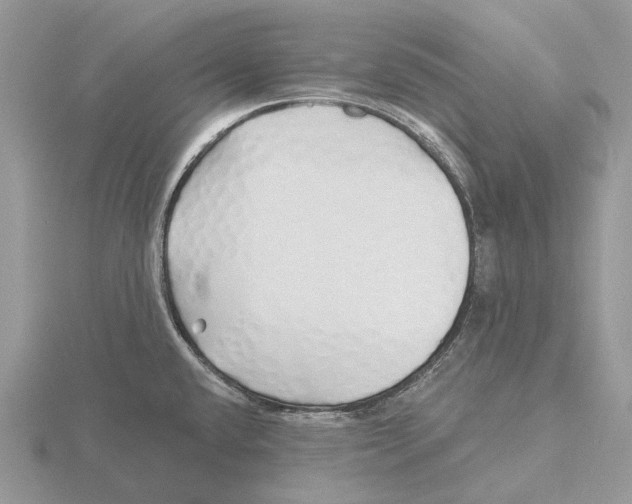 X0000115691432200912101145