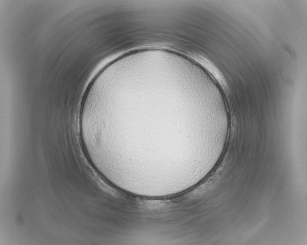 X0000115691436200912101145