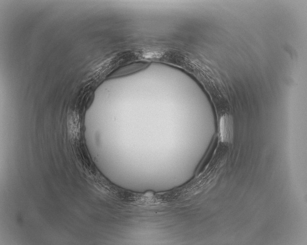 X0000115691443200912101144