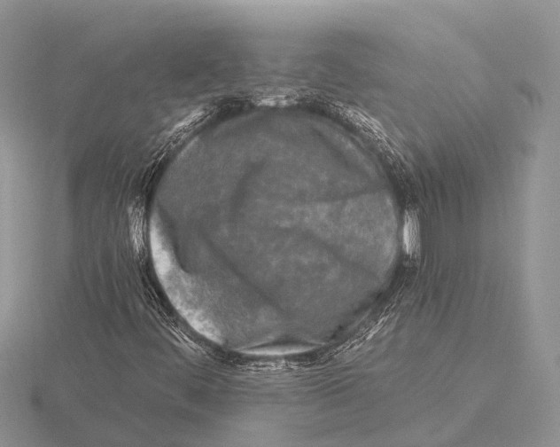 X0000115691444200912101144