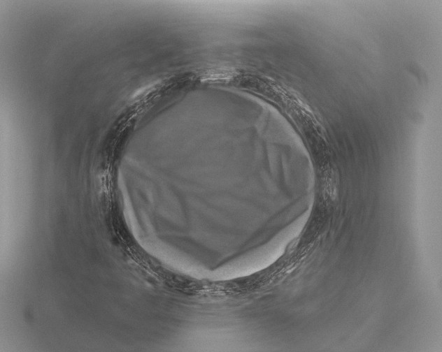 X0000115691445200912101144