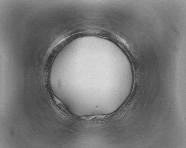 X0000115691448200912101144