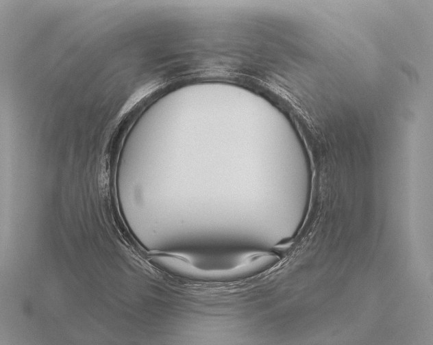X0000115691450200912101144