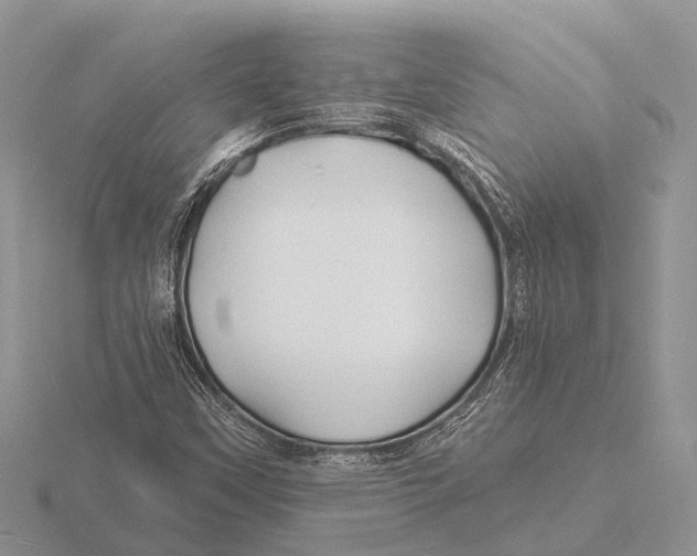 X0000115691451200912101144