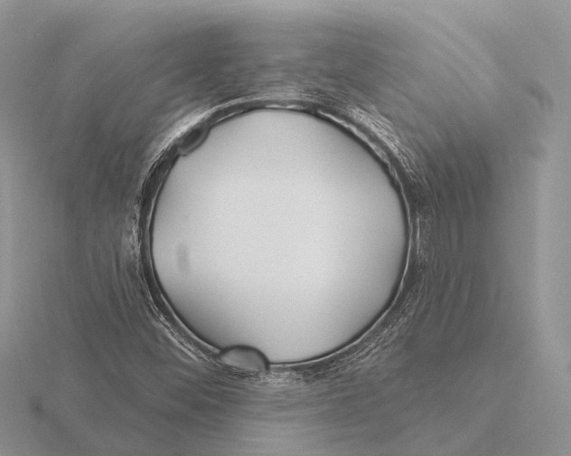 X0000115691452200912101144