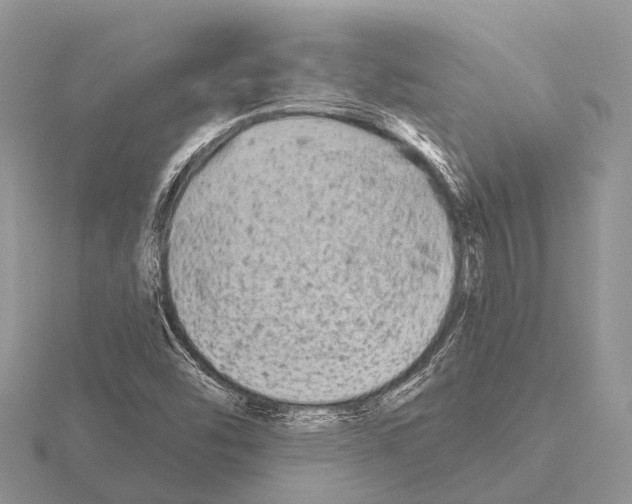 X0000115691454200912101144