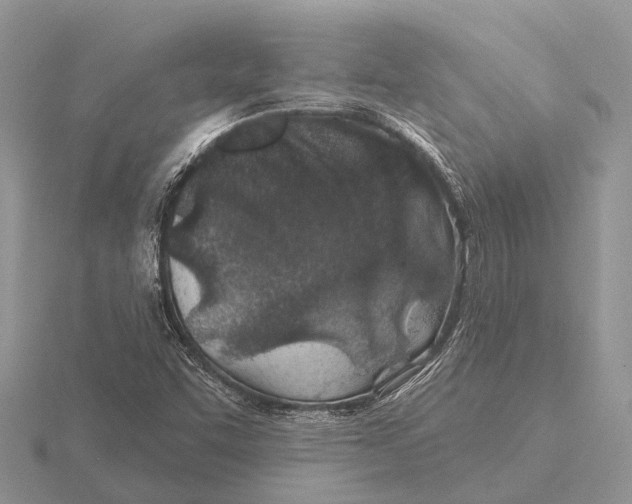 X0000115691455200912101144