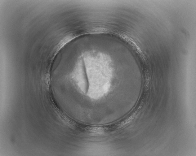 X0000115691457200912101144