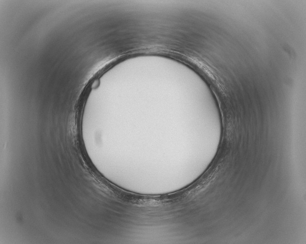 X0000115691458200912101144
