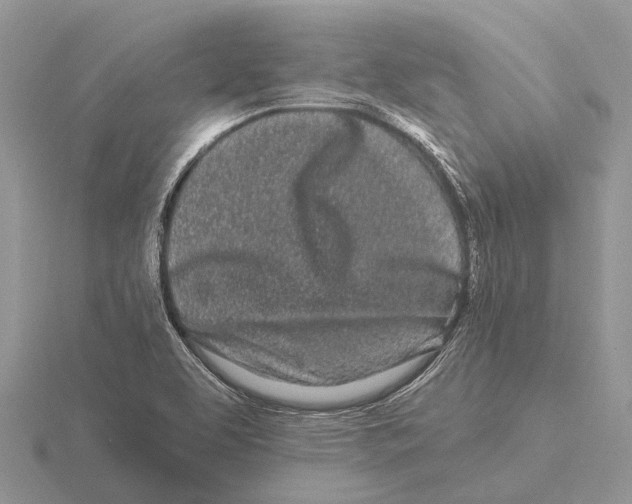 X0000115691463200912101144