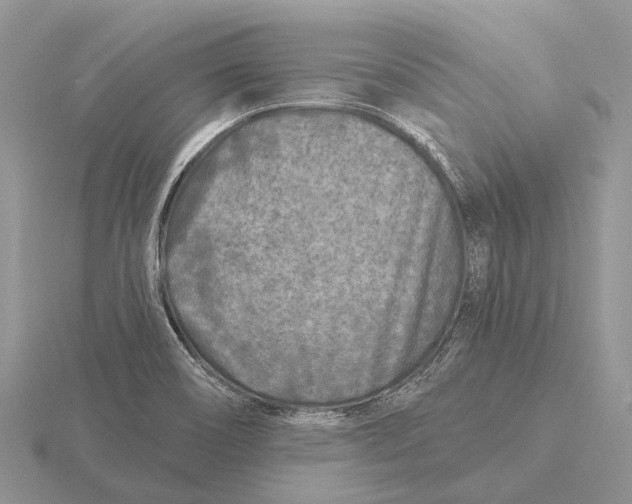 X0000115691466200912101144