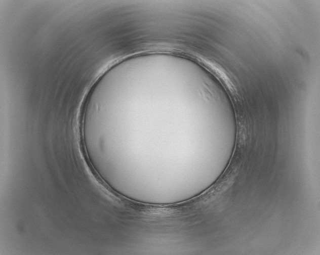 X0000115691475200912101144