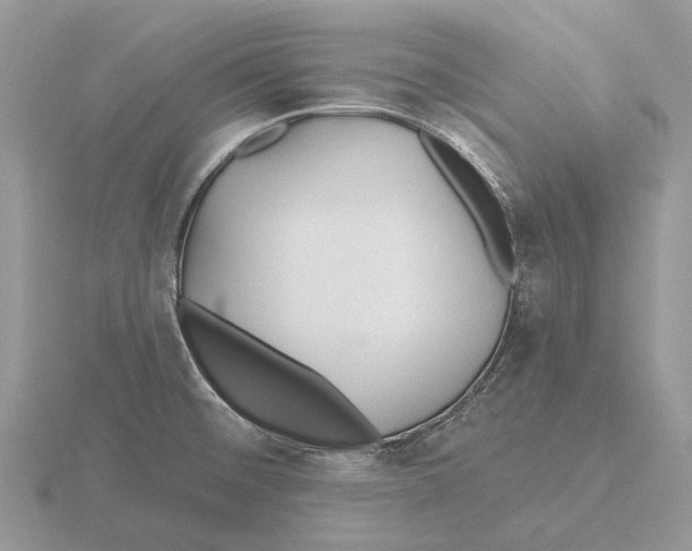 X0000115691476200912101144