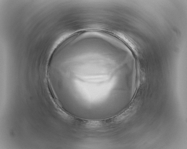 X0000115691477200912101144