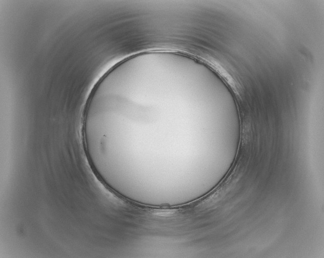 X0000115691484200912101144