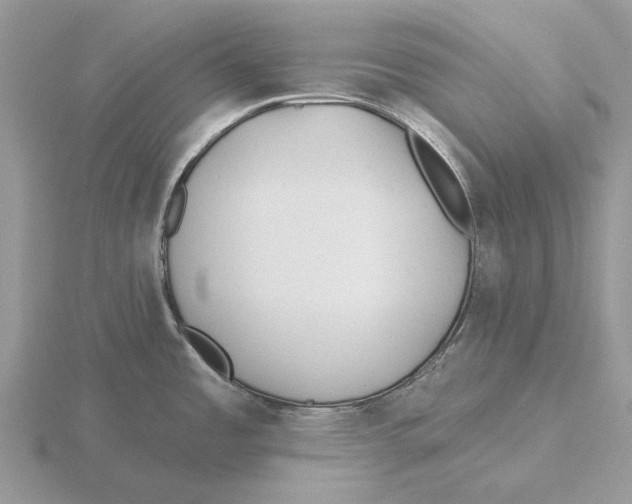X0000115691485200912101143